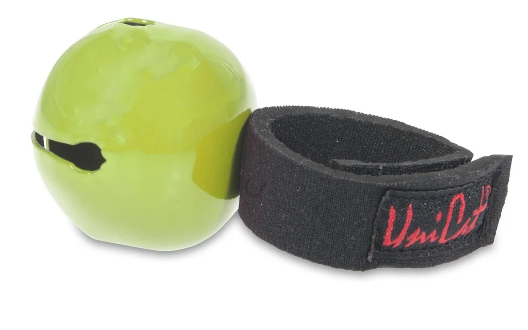 angelsport-berg4816630