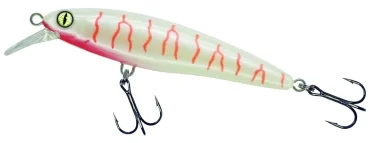 angelsport-direkt4746946