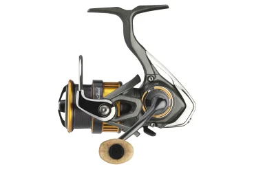 angelsport-direkt4769861
