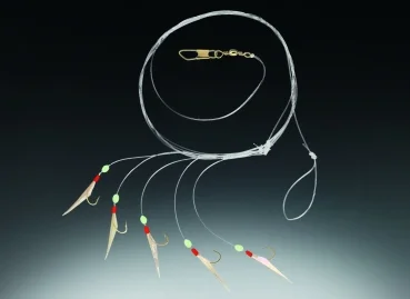 angelsport-direkt4776593