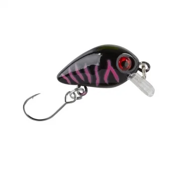angelsport-direkt4788134