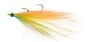 angelsport-direkt4794838