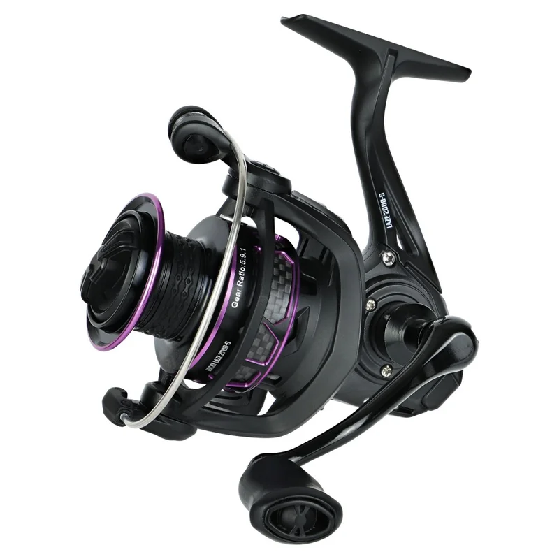 dimensionepesca4825118