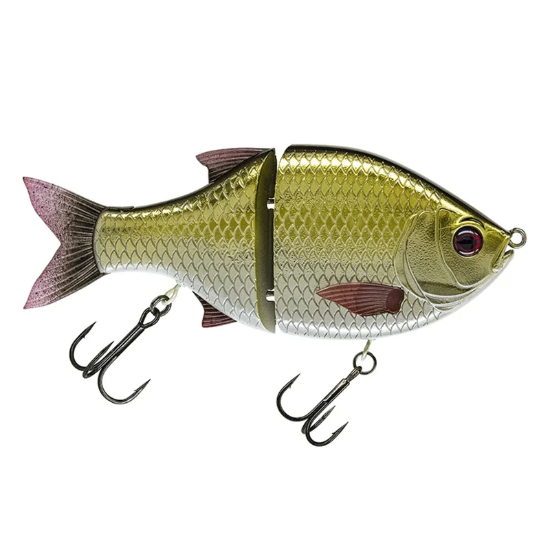 dimensionepesca4829067