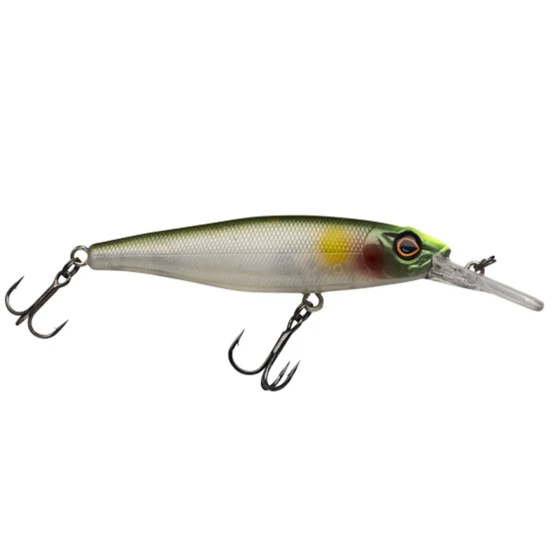 dimensionepesca4831081