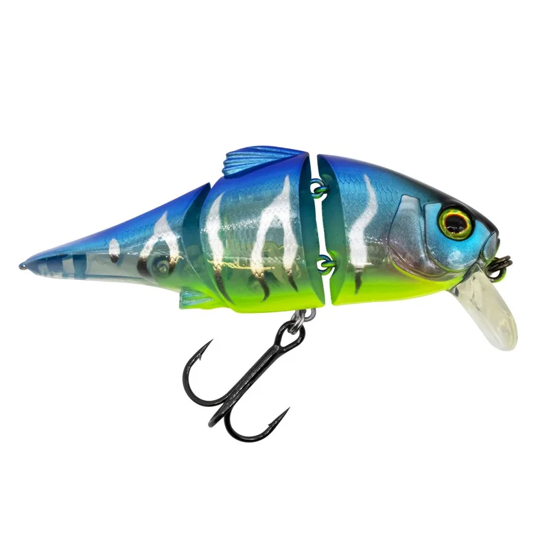 dimensionepesca4831981