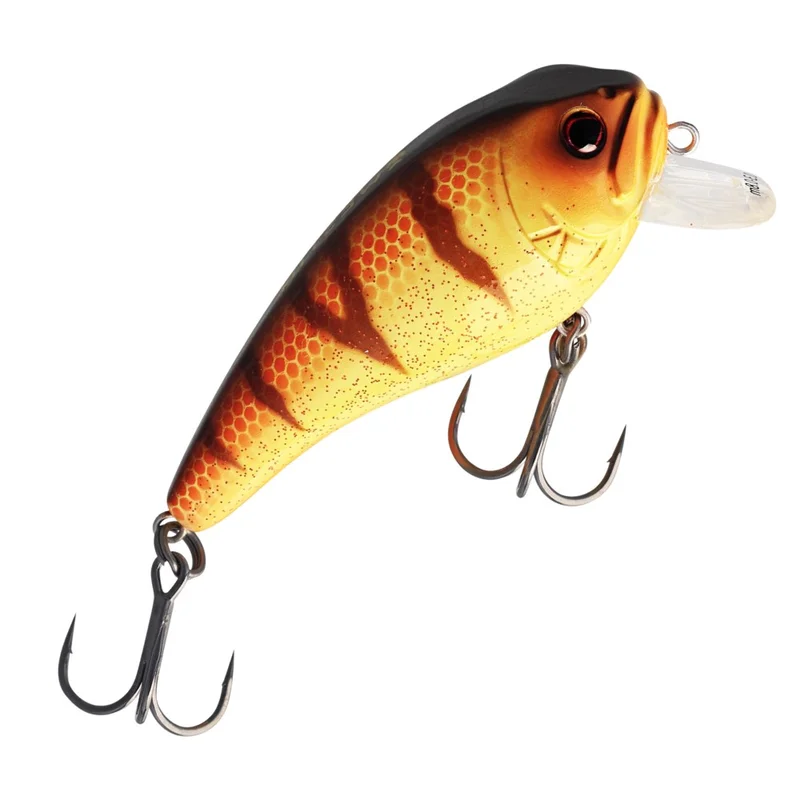 dimensionepesca4833410