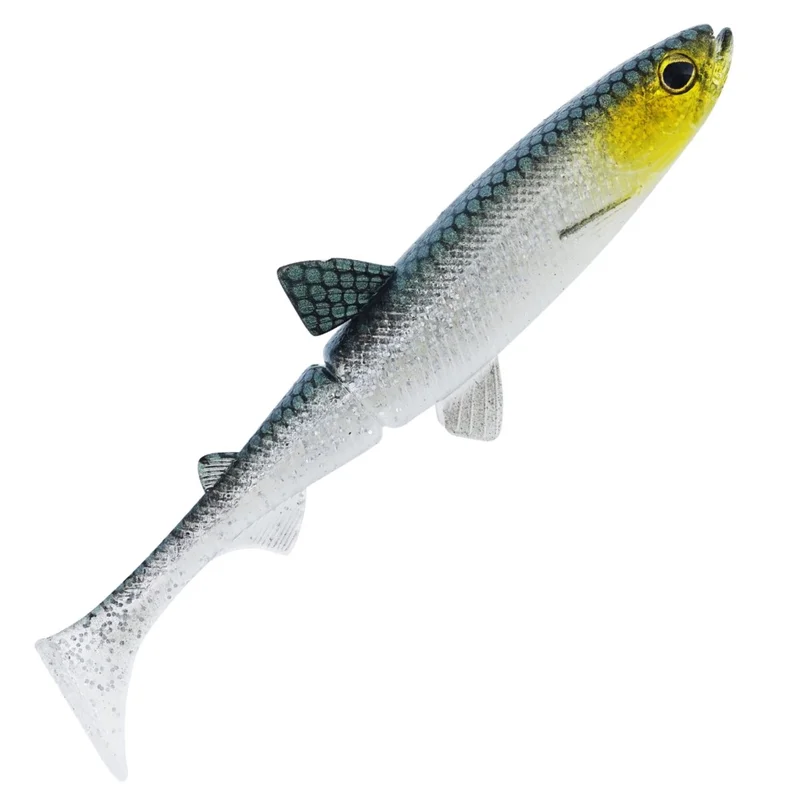 dimensionepesca4834105