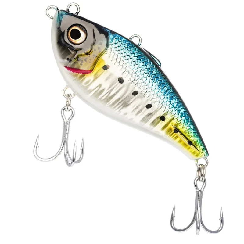 dimensionepesca4843166