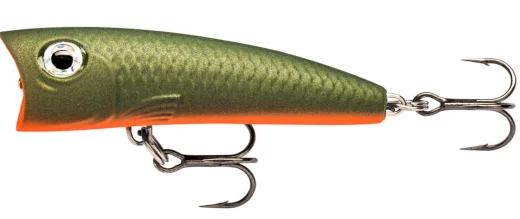 fishing-attack4727862