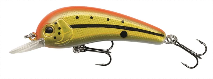 fishing-attack4728539