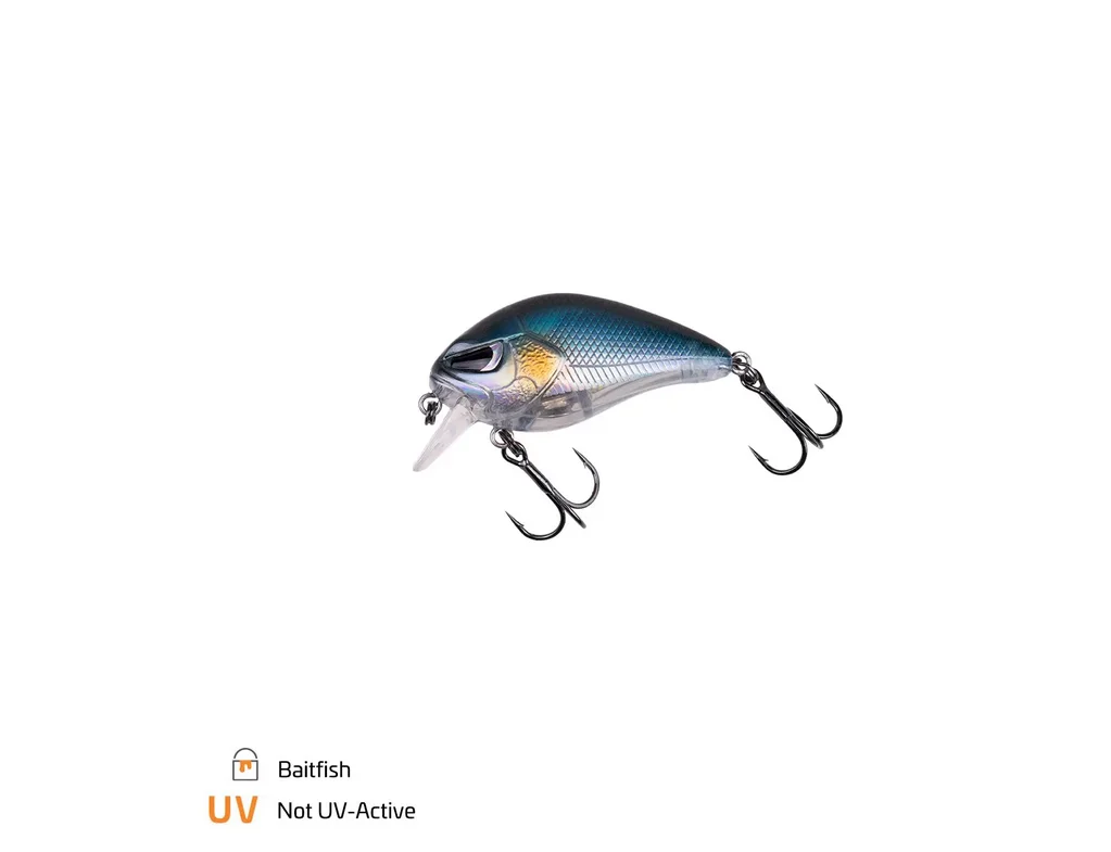 fishing-attack4737387
