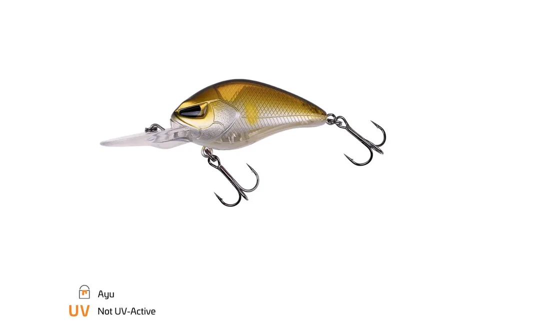 fishing-attack4737589