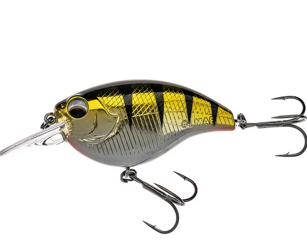 fishing-attack4741184