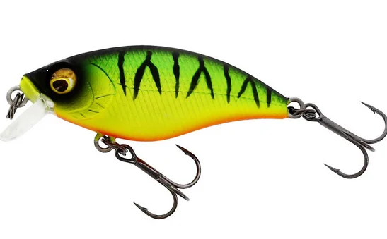 fishing-attack4743188
