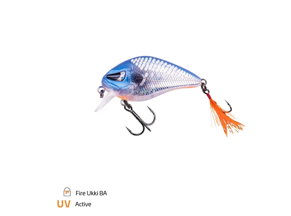 fishing-attack4747710