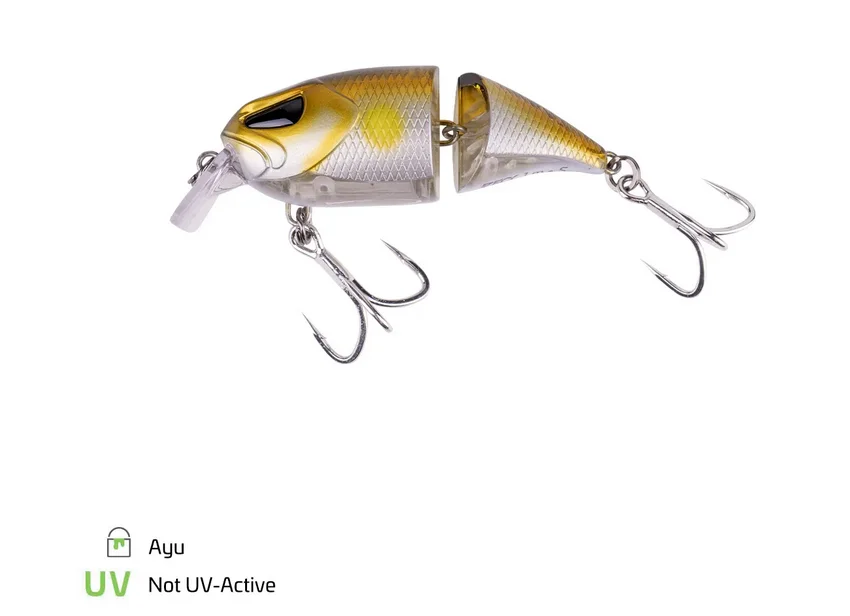 fishing-attack4747954
