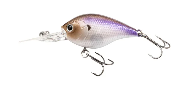 fishing-attack4748340