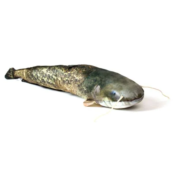 fishing244787782