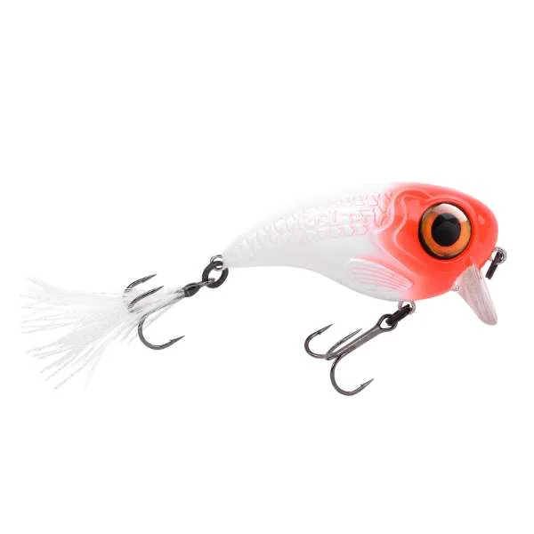 fishing244788842