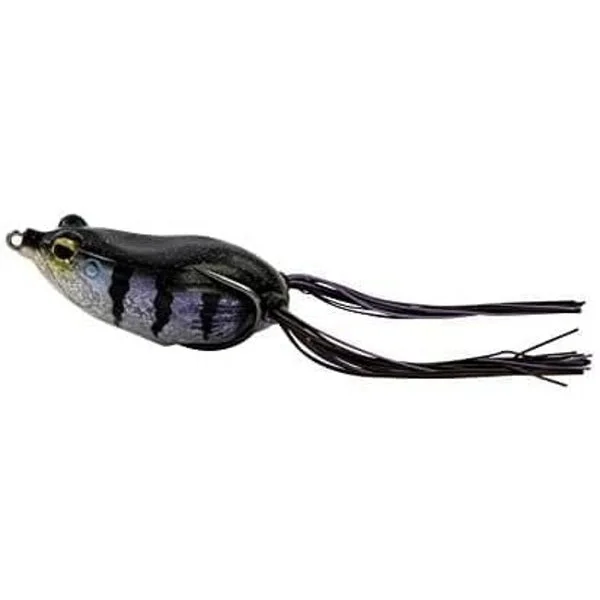 fishing244791885