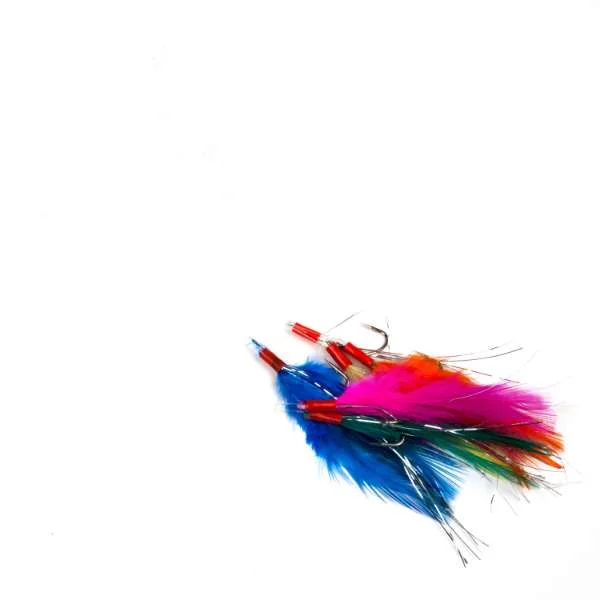 fishing244792539