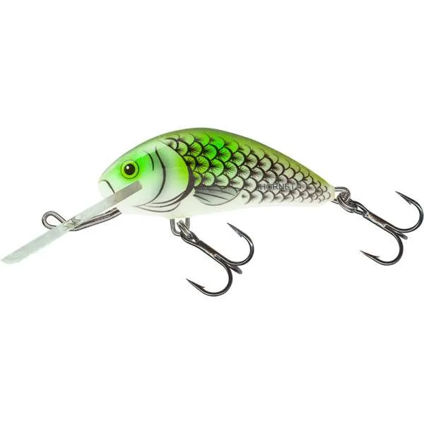 fishing244793119