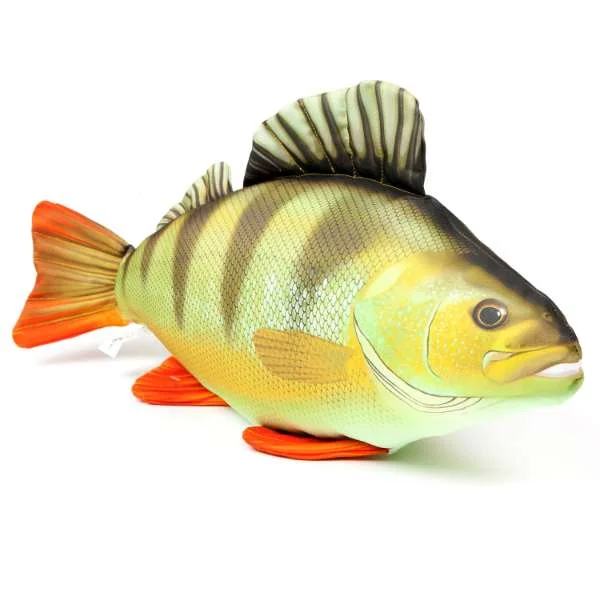 fishing244793874