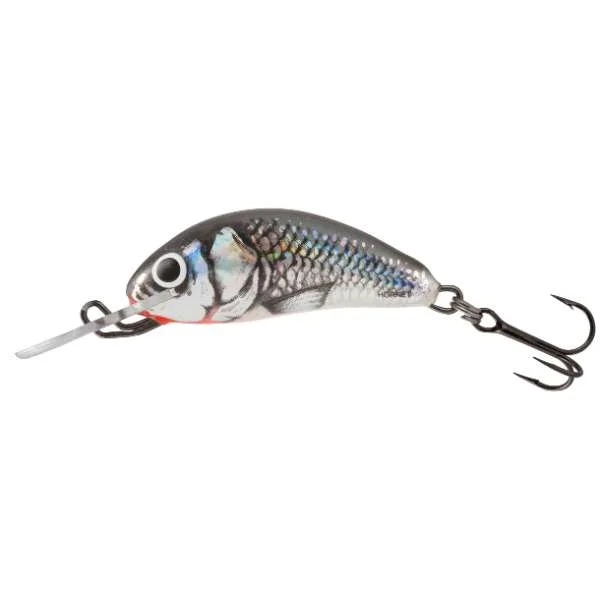 fishing244806854