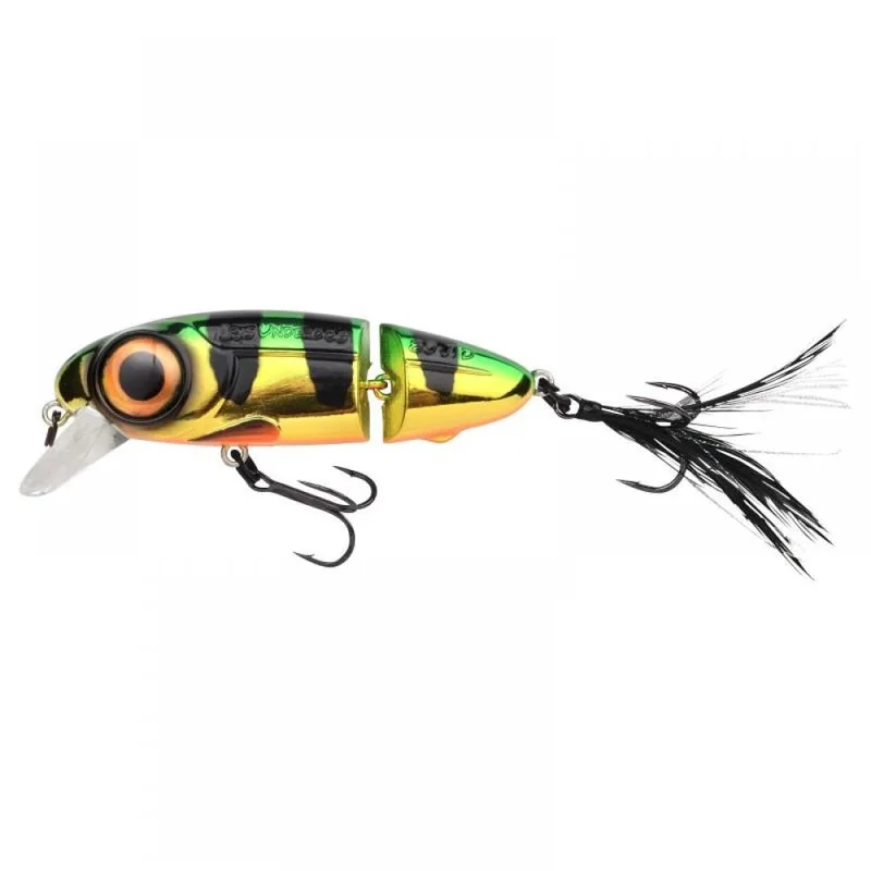 fishing244810622