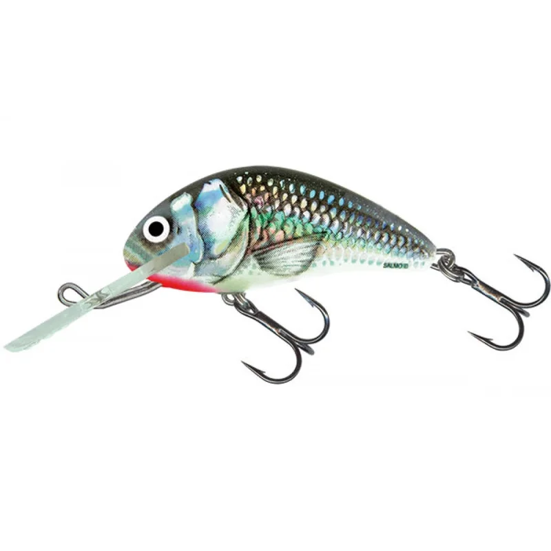 fishing244822561