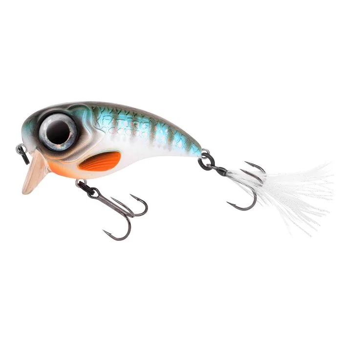 fishing244823290