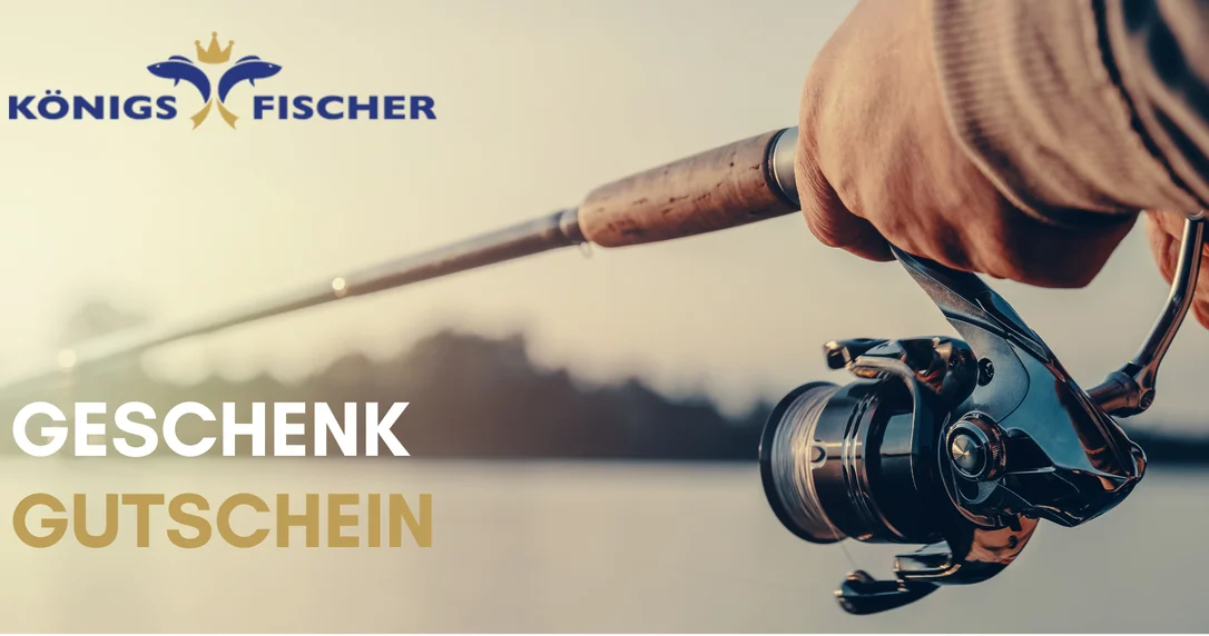 koenigsfischer-shop4849677
