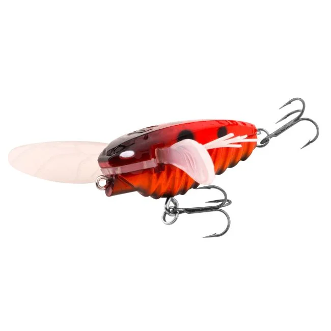 koenigsfischer-shop4851950
