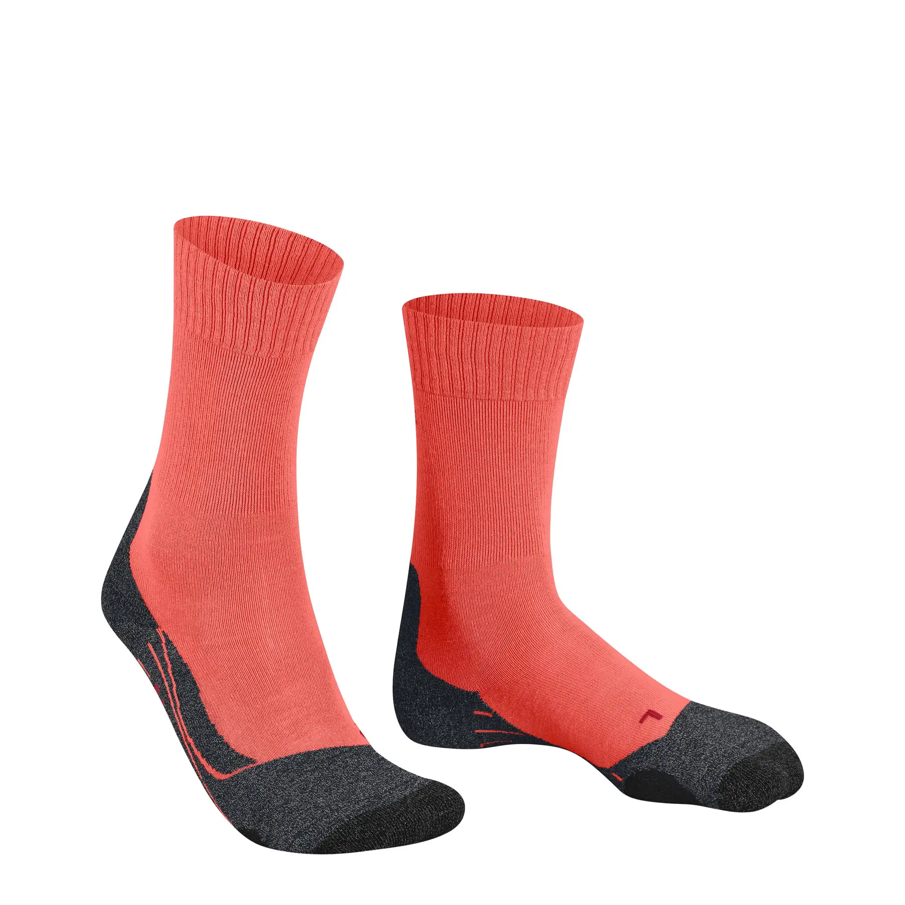 pecheur-store5008448