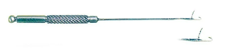 raubfischjagd4721217