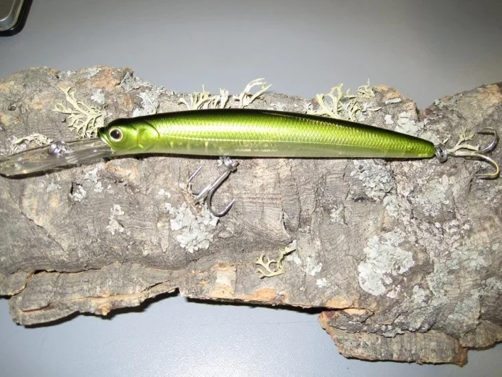 raubfischjagd4722013