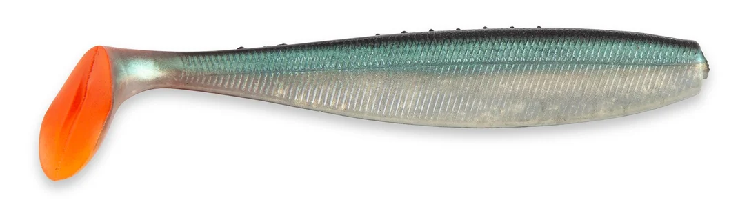 raubfischjagd4767626