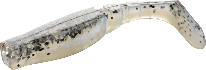 raubfischjagd4794231