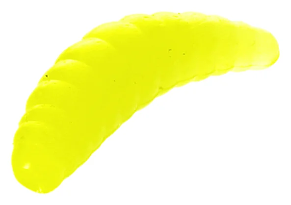 raubfischjagd4835581