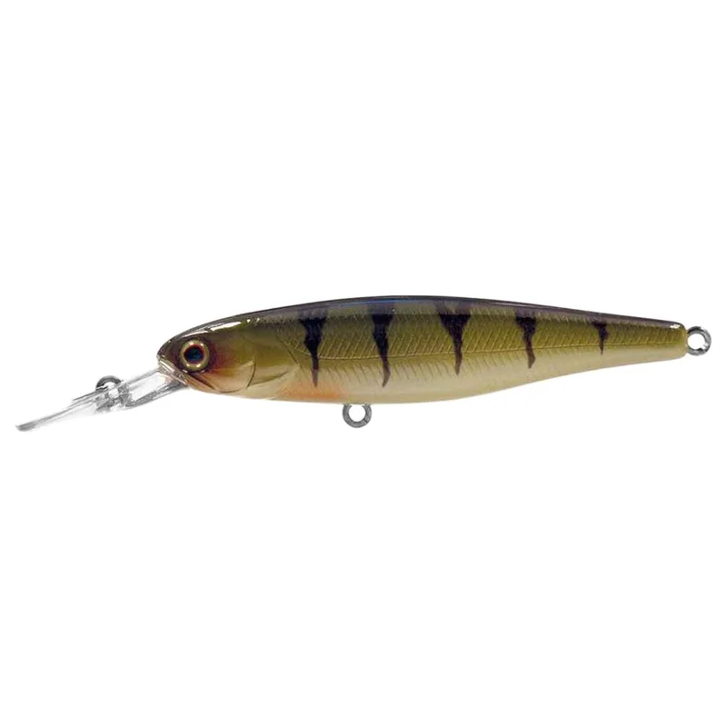 tackle-dealer-shop4775673