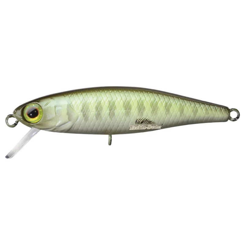 tackle-dealer-shop4775820