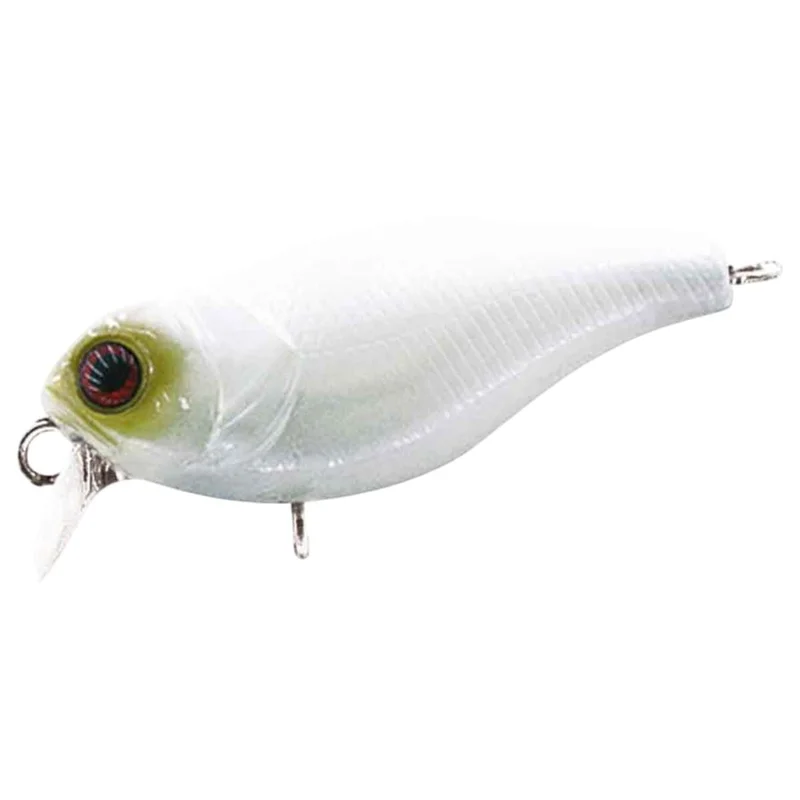 tackle-dealer-shop4776007