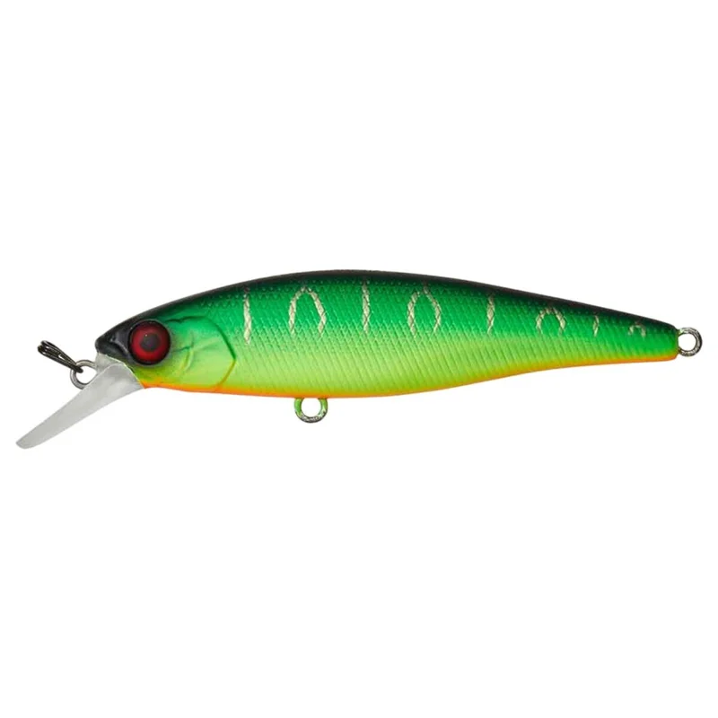 tackle-dealer-shop4776158