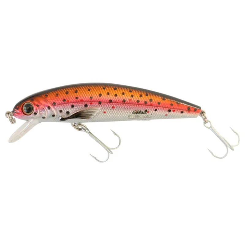 tackle-dealer-shop4781397