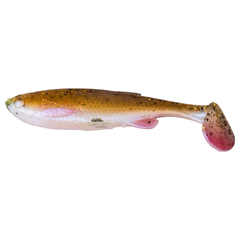 tackle-dealer-shop4781522