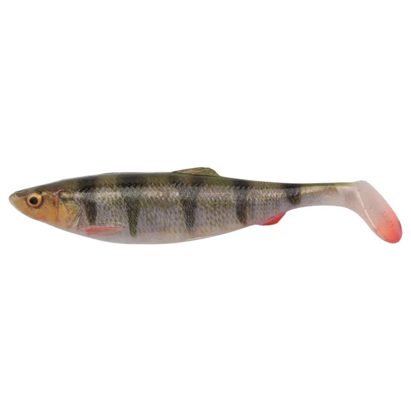 tackle-dealer-shop4786041