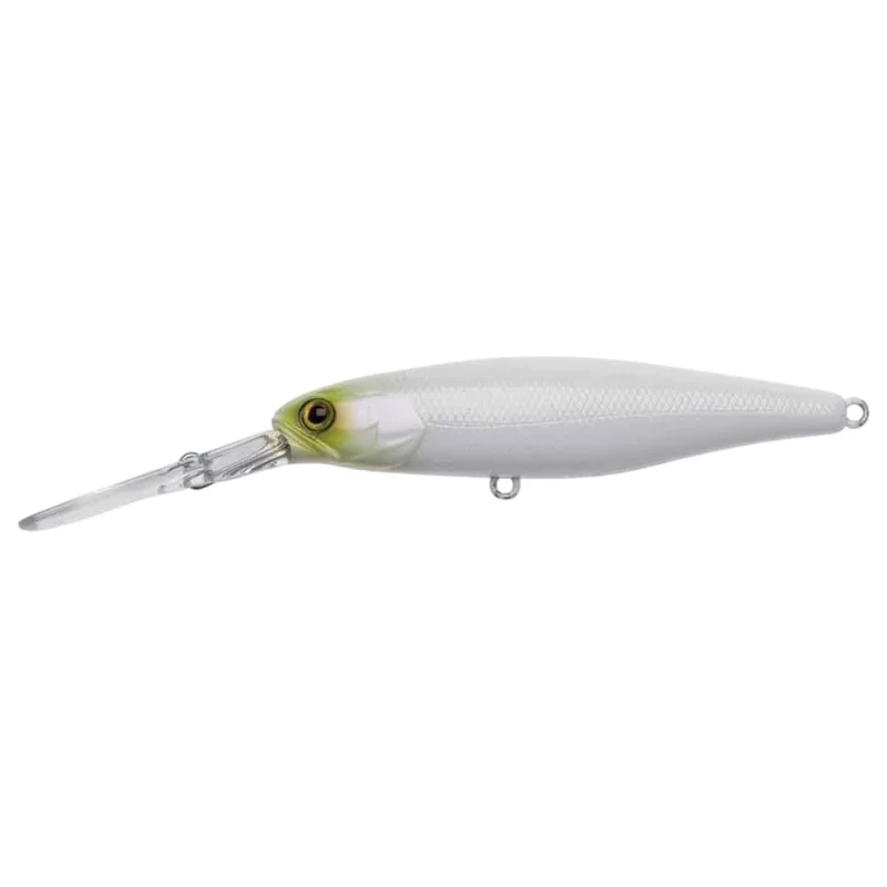 tackle-dealer-shop4795132