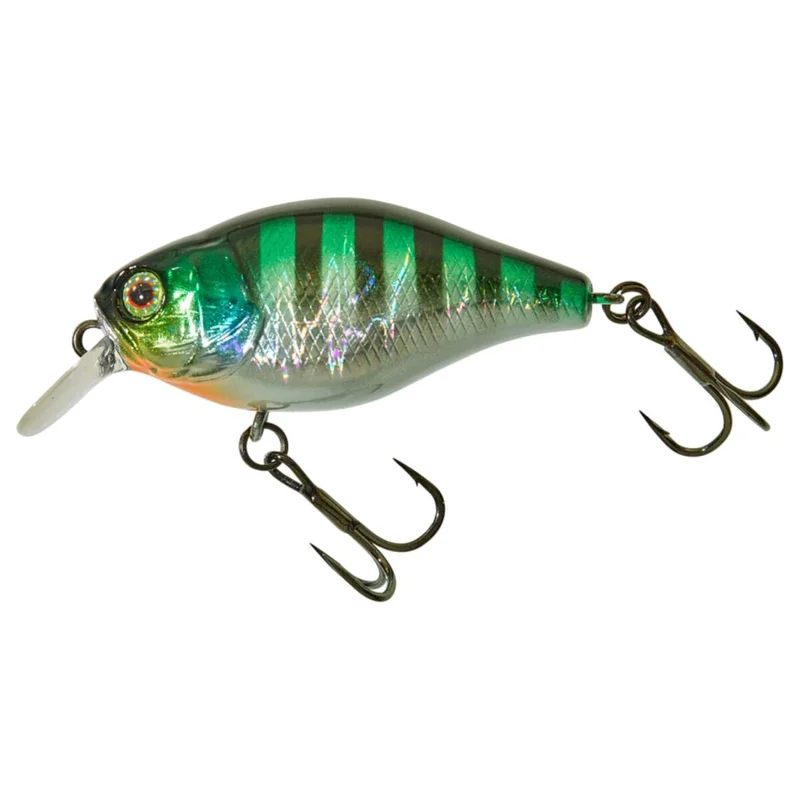 tackle-dealer-shop4801296