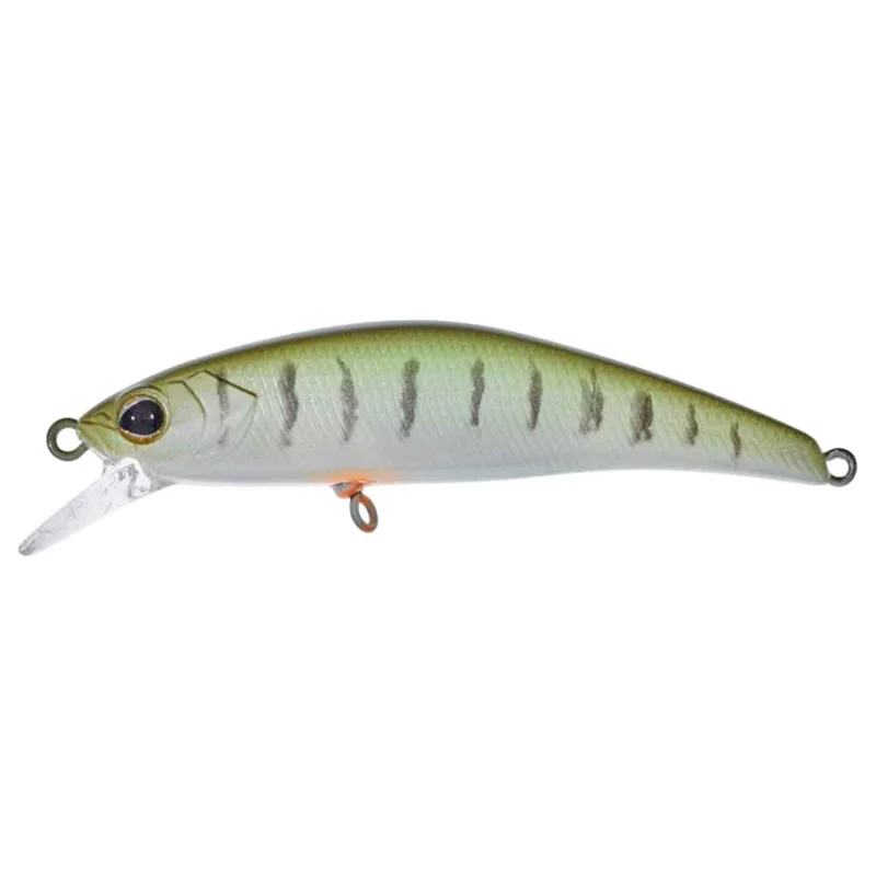 tackle-dealer-shop4802702